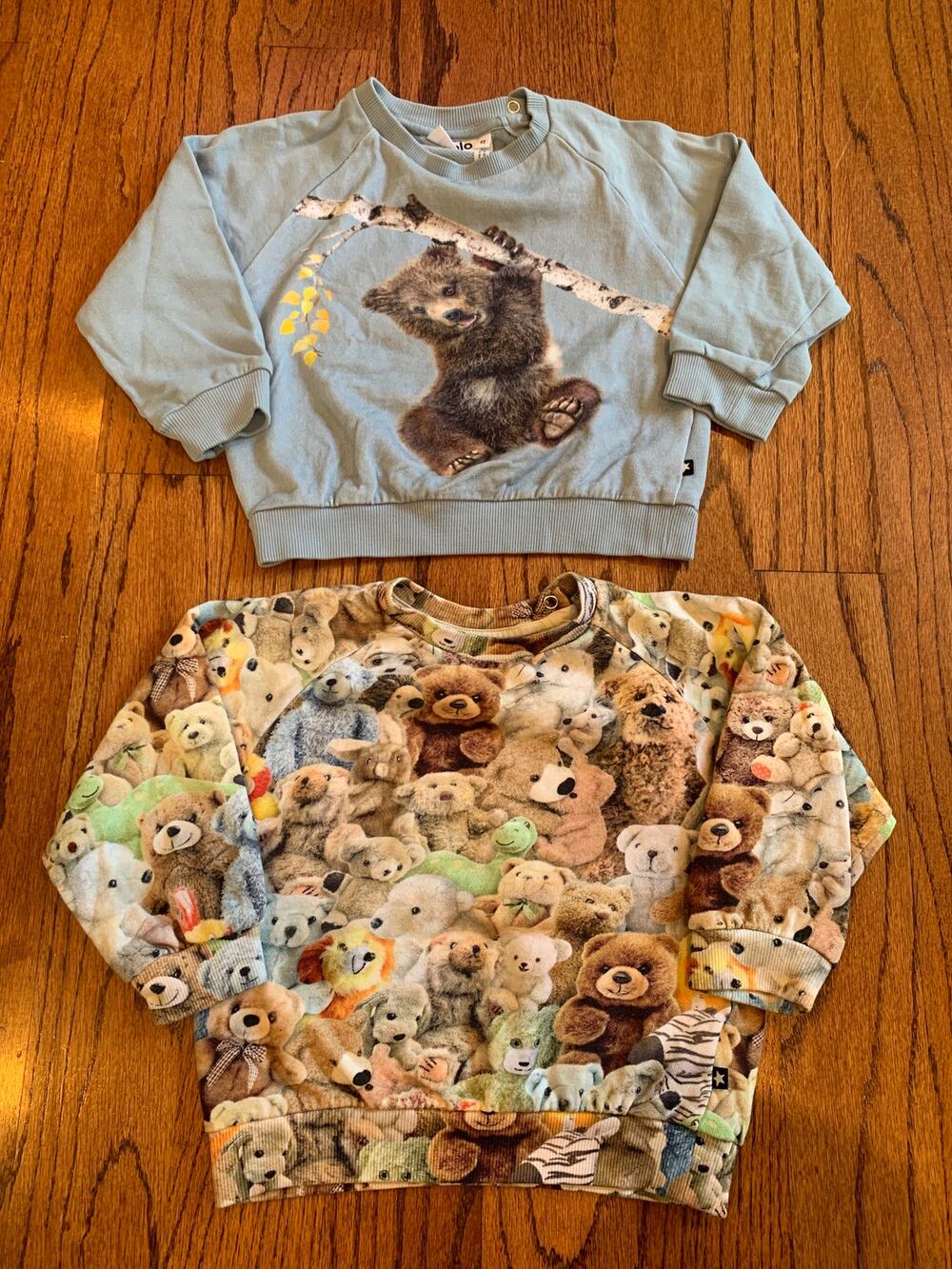 Molo Bear Print 100% Organic Cotton Crewneck Sweatshirt Lot (2) | 92 / 2 years